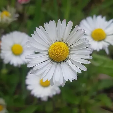 Bed & Breakfast Da Silvestro Tempio Pausania