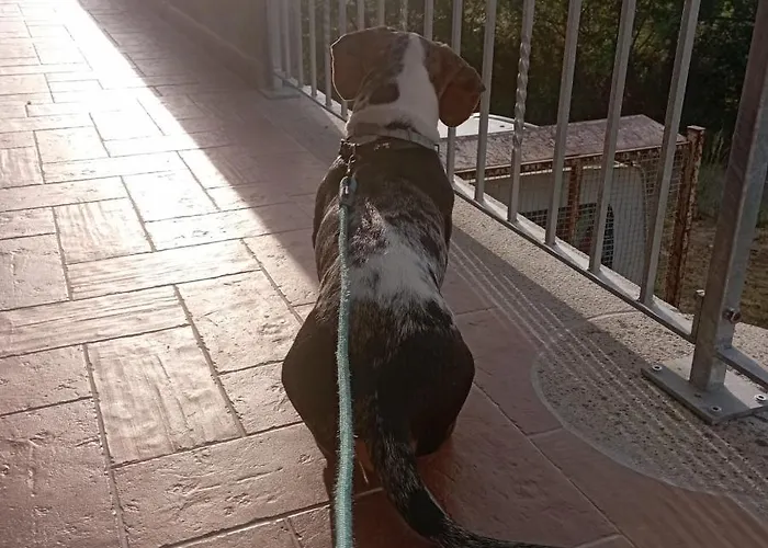 Da Silvestro Frühstückspension Tempio Pausania