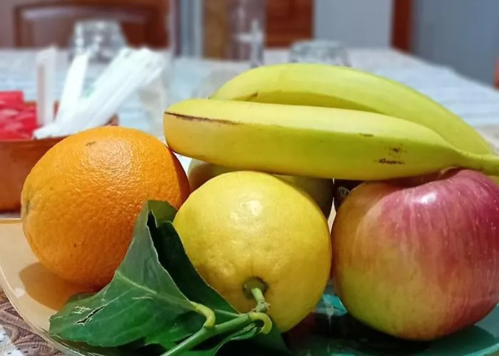 Da Silvestro Tempio Pausania